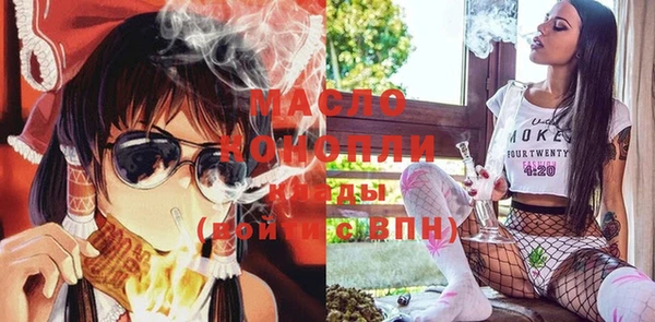 гашик Мегион