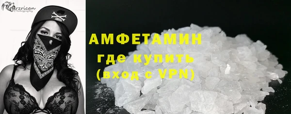 прущие грибы Алексеевка