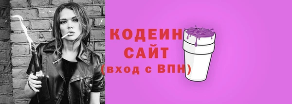 гашик Мегион