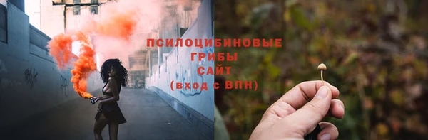 прущие грибы Алексеевка
