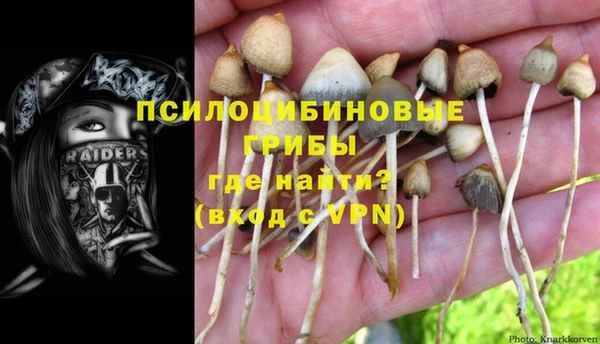 прущие грибы Алексеевка