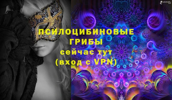 мдпв Медвежьегорск