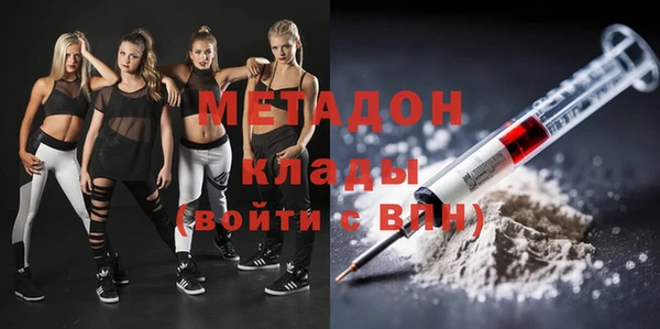 прущие грибы Алексеевка