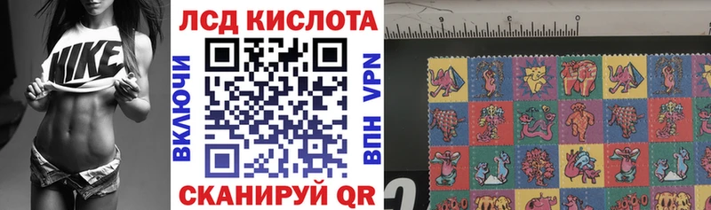 Марки NBOMe 1500мкг  где найти наркотики  Камышин 