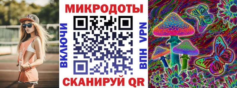 купить Камышин Псилоцибиновые грибы Psilocybine cubensis
